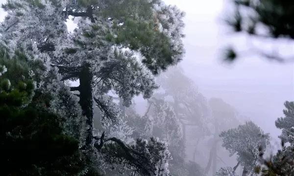 20240129南安新闻-迎新春义写春联
