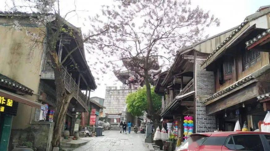 网友称多地动物园存在“猫猴共处”:有园方称为了抓老鼠,还有园方称是野猫找吃的